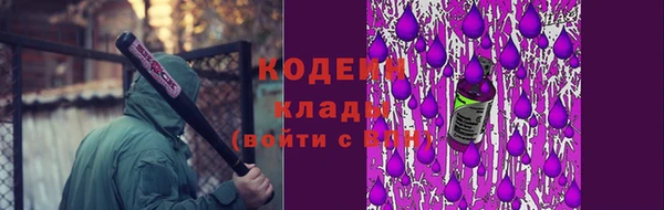прущие грибы Михайлов