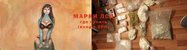 прущие грибы Михайлов