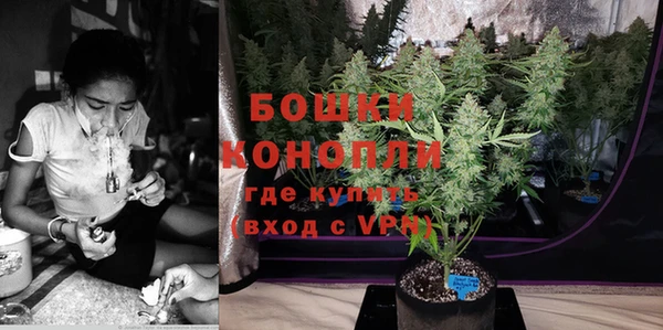 прущие грибы Михайлов