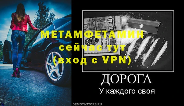 прущие грибы Михайлов