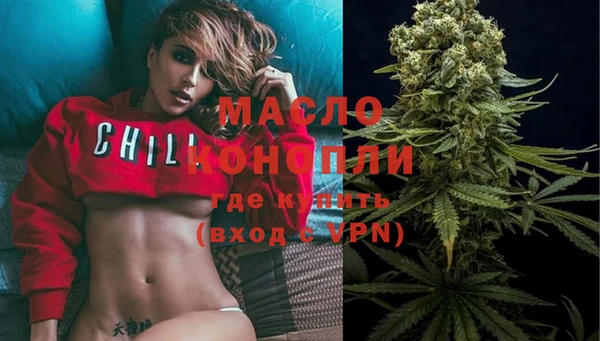 прущие грибы Михайлов