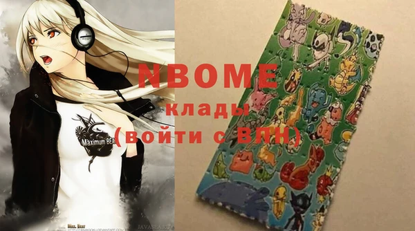 прущие грибы Михайлов