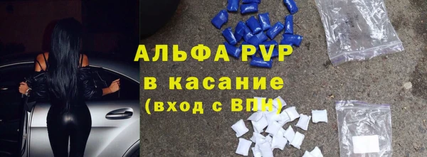 прущие грибы Михайлов