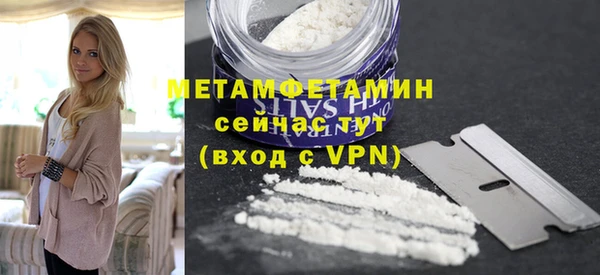 прущие грибы Михайлов
