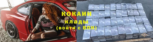 прущие грибы Михайлов